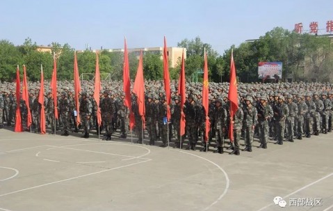 博鱼-本土劲旅备战国内赛事，冲击历史巅峰(这是两支老牌劲旅,为争夺一年一度的联赛桂冠)